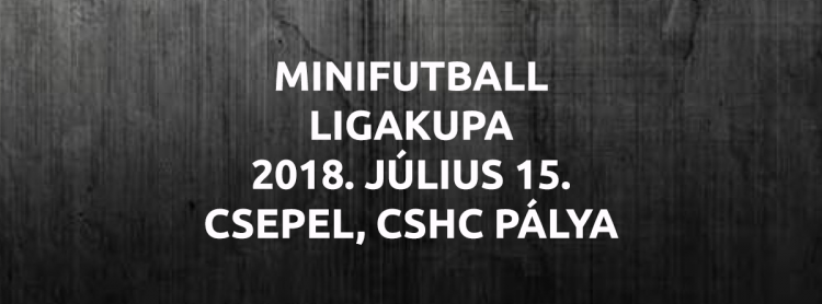 MINIFUTBALL LIGAKUPA 2018